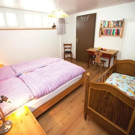 Apartment Am Gaessli 5-bettwohnung